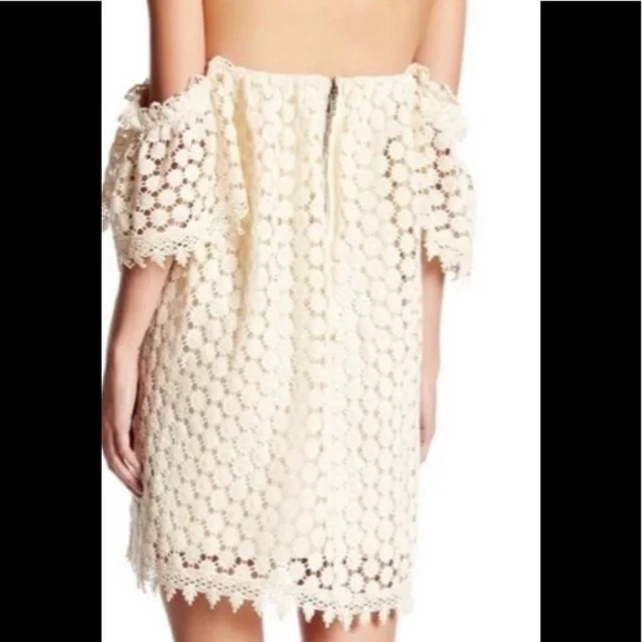 Telarosa Embroidered Mini Dress - Picture 3 of 10